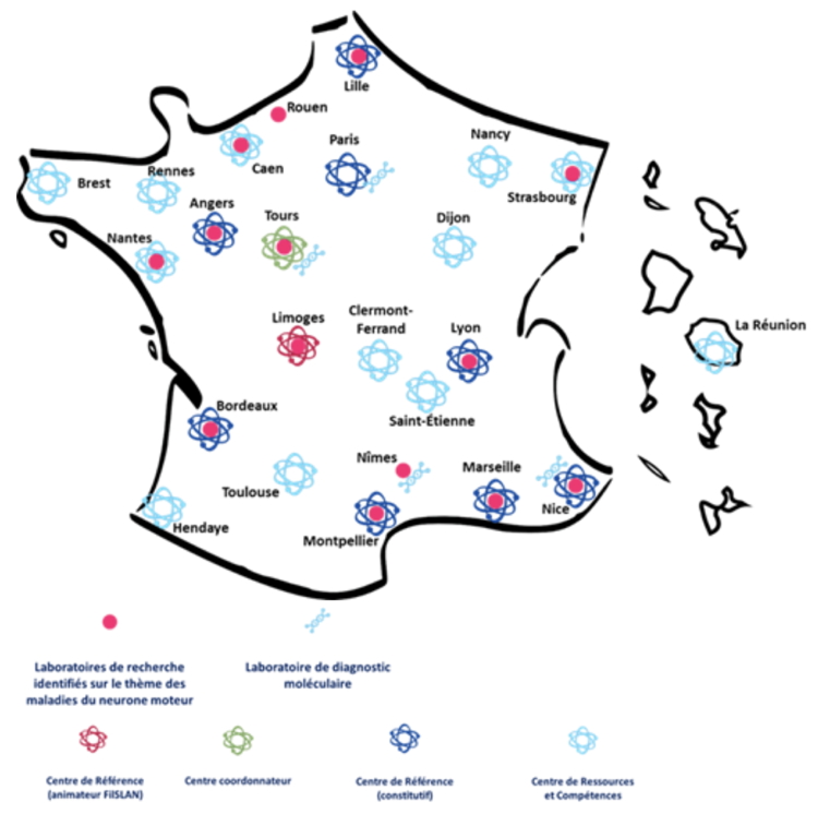 Cartographie du réseau ACT4ALS-MND